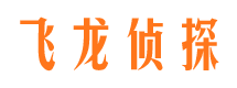 临汾市侦探调查公司